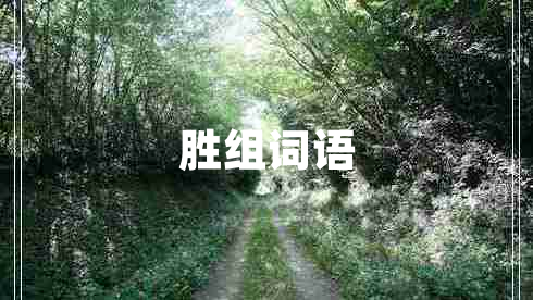 胜组词语