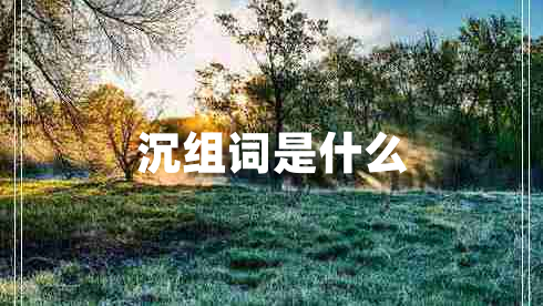 沉组词是什么