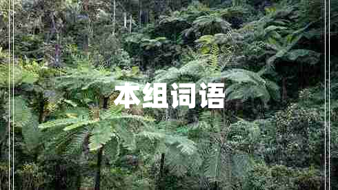 本组词语