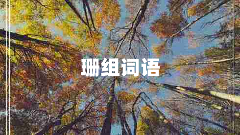 珊组词语