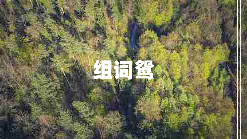 组词鸳
