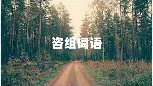 咨组词语
