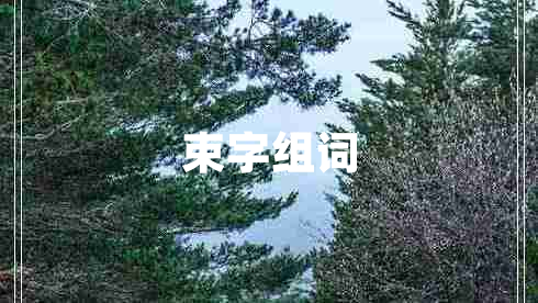 束字组词