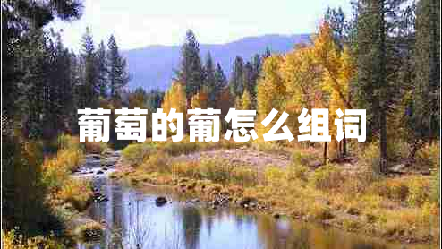 葡萄的葡怎么组词