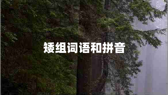 矮组词语和拼音