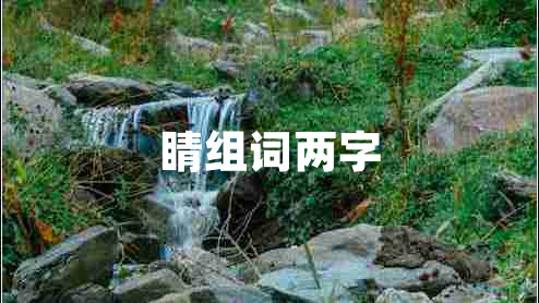睛组词两字