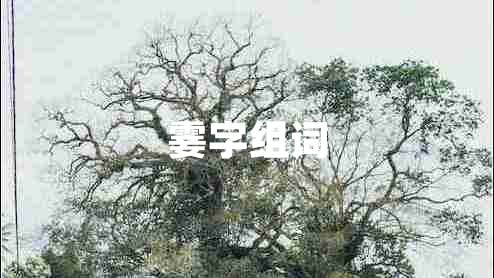 霎字组词