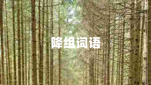 降组词语