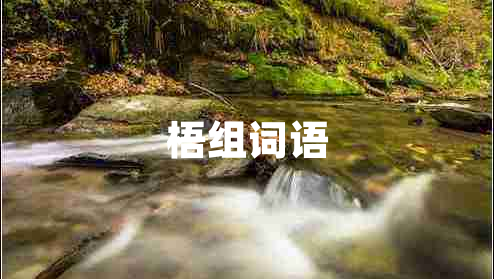 梧组词语 梧组词语