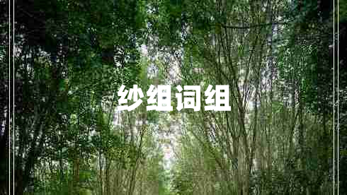 纱组词组 纱组词组