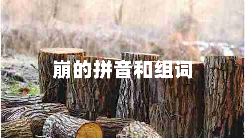崩的拼音和组词