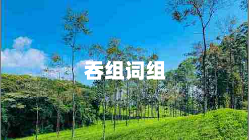 吞组词组