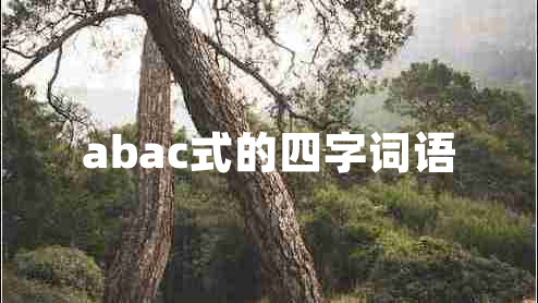 abac式的四字词语