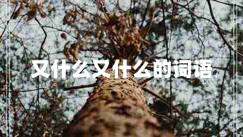 又什么又什么的词语