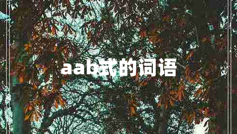 aab式的词语