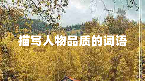 描写人物品质的词语