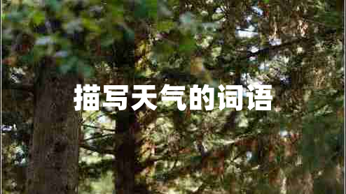 描写天气的词语