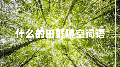 什么的田野填空词语 什么的田野填空词语