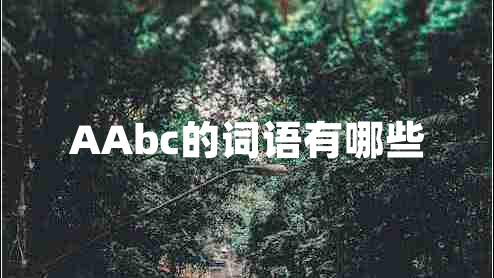 AAbc的词语有哪些