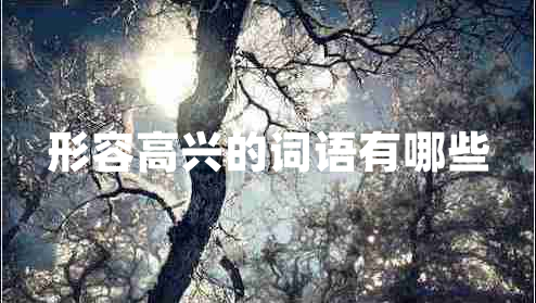 形容高兴的词语有哪些