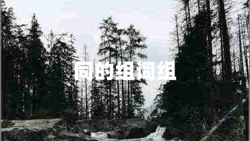 同的组词组