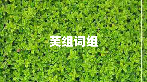 芙组词组