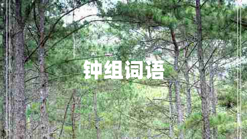 钟组词语