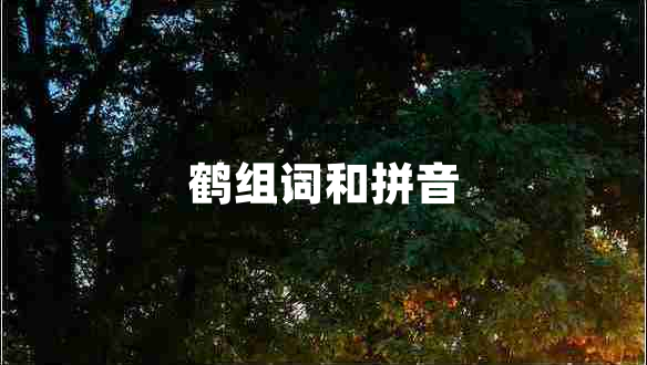 鹤组词和拼音