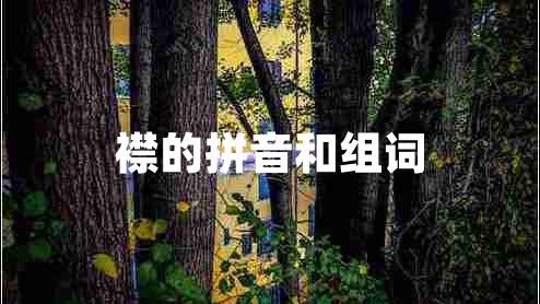 襟的拼音和组词