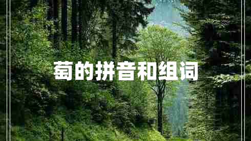 萄的拼音和组词
