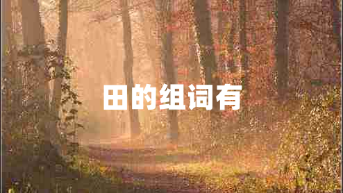 田的组词有