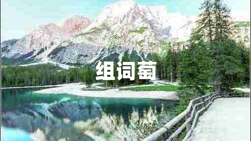 组词萄 组词萄