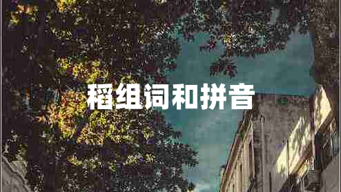 稻组词和拼音