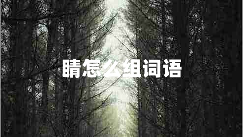 睛怎么组词语