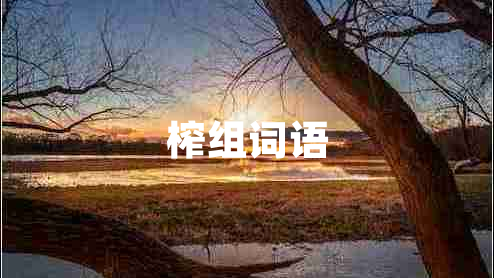 榨组词语