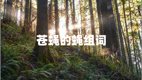 苍蝇的蝇组词 苍蝇的蝇组词