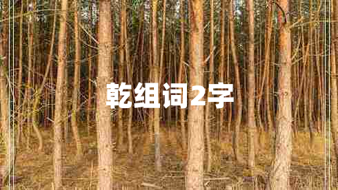 乾组词2字