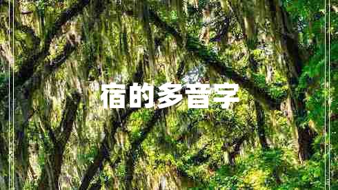 宿的多音字