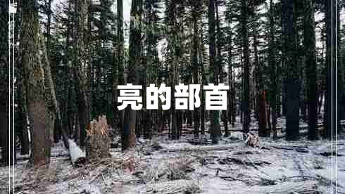 亮的部首