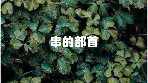 串的部首