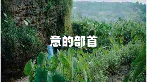 意的部首