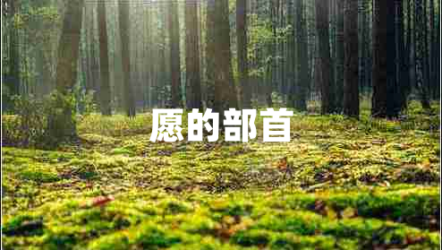 愿的部首