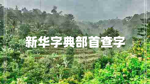 新华字典部首查字 新华字典部首查字
