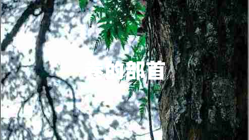 卷的部首