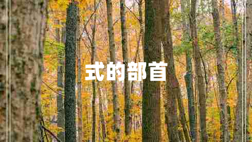 式的部首