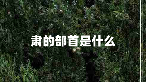 肃的部首是什么 肃的部首是什么