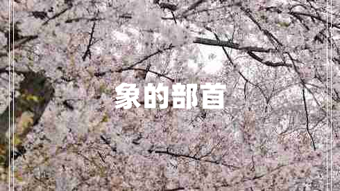 象的部首