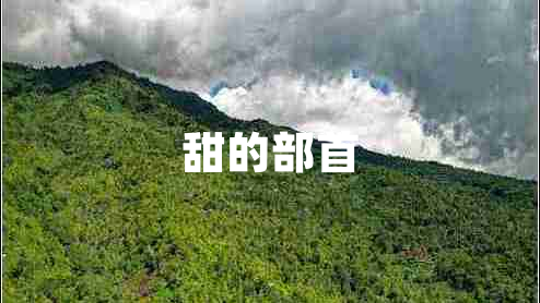 甜的部首