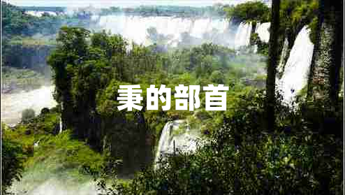 秉的部首
