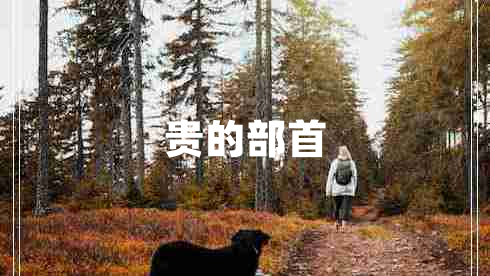 贵的部首